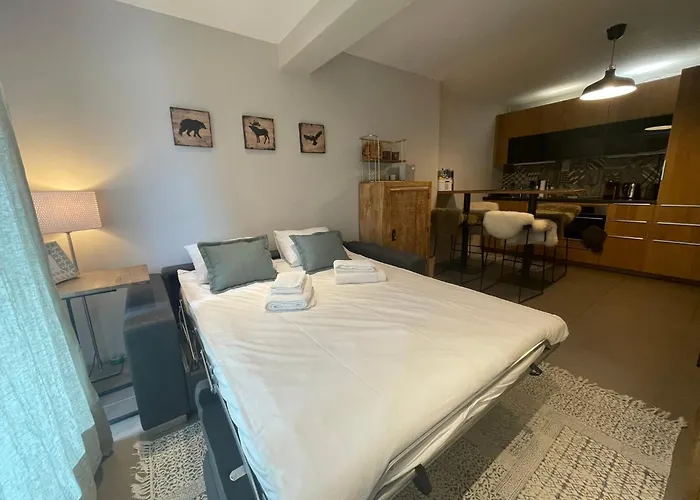 Verbier Apt 2 Rooms